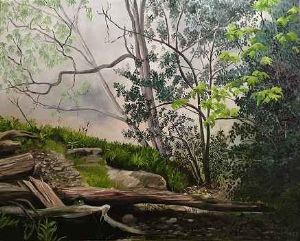 "La Hike Through a Misty Forest "