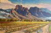 "Boschendal, Franschhoek "