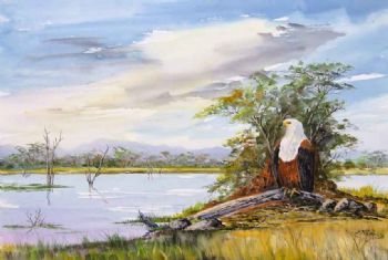 "Fish Eagle Lake Kariba"