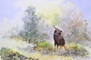 "Nyala "