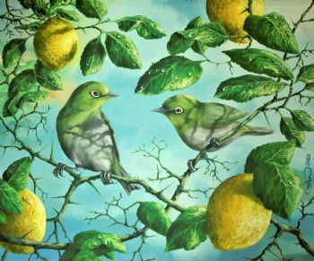 "Cape White Eye"