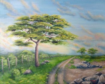 "African Accacia Summer "