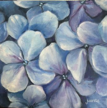 "Hydrangea 3"