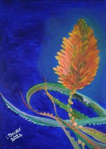 "Aloe in bloom"