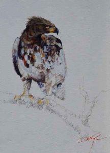 "Crowned Eagle"