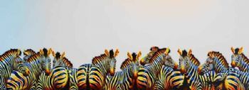 "Moonlight Herd"