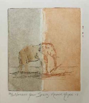 "Namibias Great Spirits -  33"