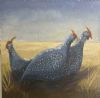 "Guinea Fowl"