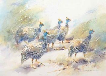 "Guineafowl "
