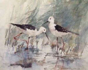 "Birds"