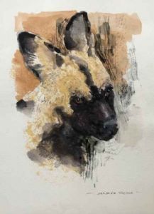 "Wilddog "
