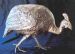 Helmeted Guineafowl