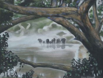 "Elephants in the Mist"