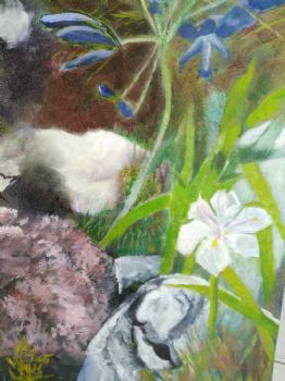 "Fynbos in the Natural"