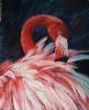 "Preening"