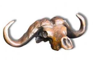 "Buffalo Skull"