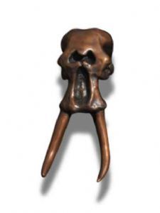 "Elephant Skull"