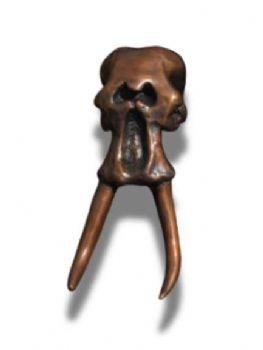 "Elephant Skull"