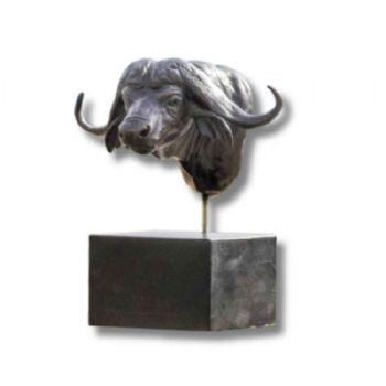 "Buffalo Bust"