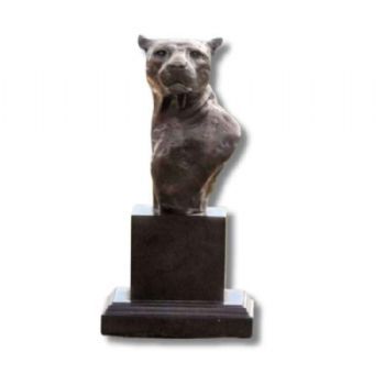 "Leopard Bust"