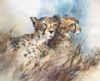 "Back to Back Cheetah"