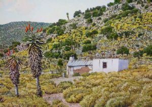 "Easten Cape Aloes 4"