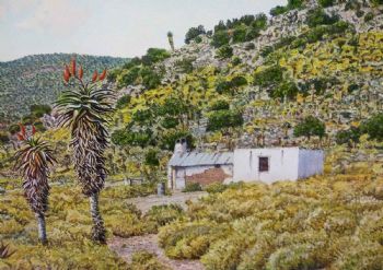 "Easten Cape Aloes 4"