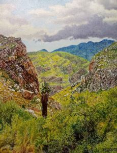 "Easten Cape Aloes 5"