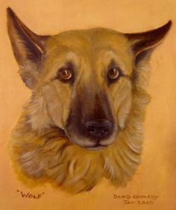 "Wolf"