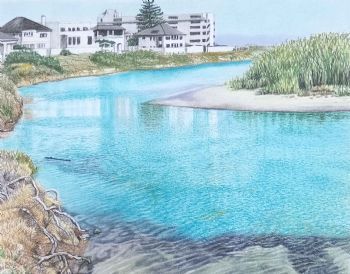 "Kelseys Rivermouth Wetland Muizenberg"