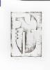 "Graphic 395 - T/P"