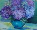 Hydrangea Beauties