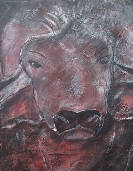 "AfricanBuffalo"