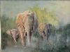 "Elephants"
