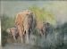 Elephants