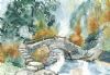 "Forest Bridge"