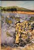 "Leopards of Karkloof"