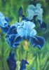 "Whisper of Indigo"