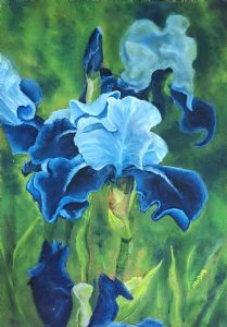 "Whisper of Indigo"