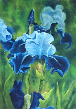 "Whisper of Indigo"