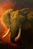 "African Elephant - Silent Dominion"