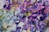 "Jacaranda 4"