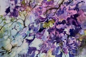 "Jacaranda 4"