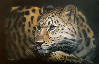 "Kaniki ( Amur Leopard)"