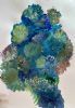 "Anemone 2/2"