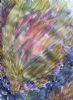 "King Protea "