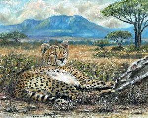"Watchful"