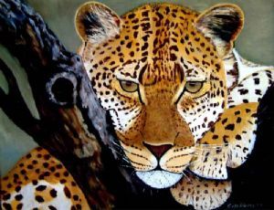 "African Leopard"