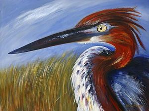 "Goliath Heron"