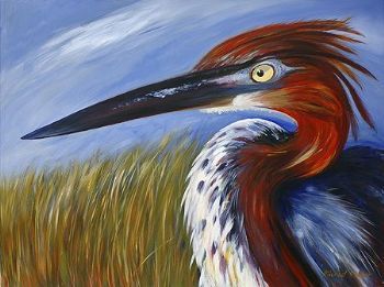"Goliath Heron"